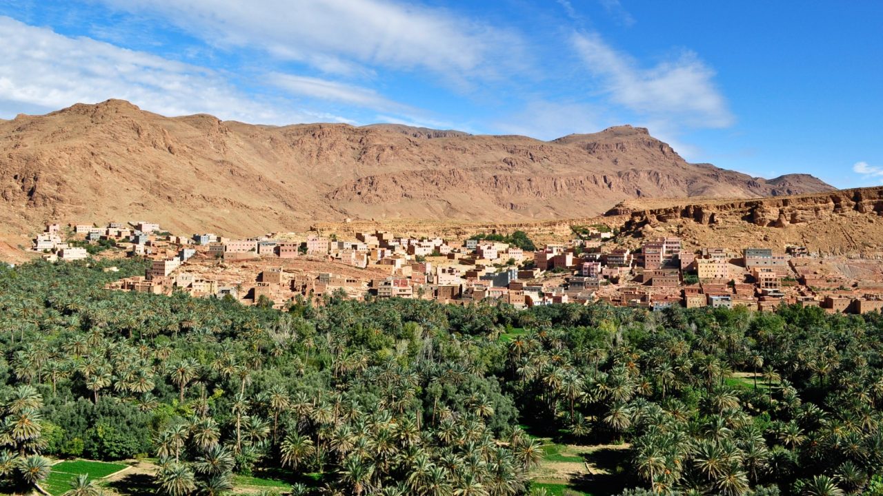 تدبير الواحات المغربية: خطاب وممارسة مزدوجين