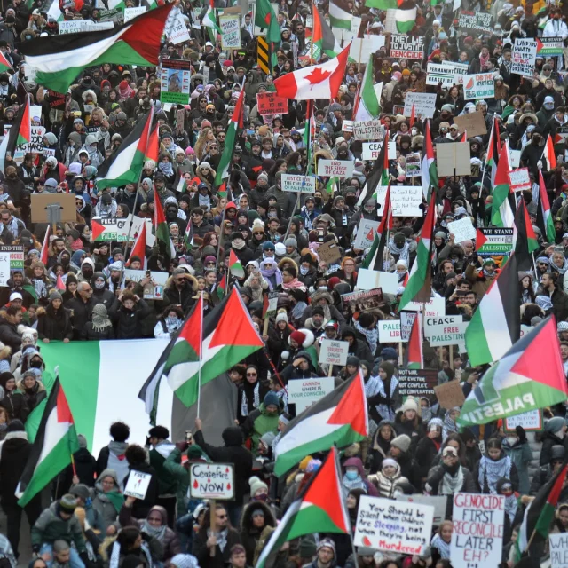 صمت الجامعات العربية (المفاجئ) بشأن فلسطين